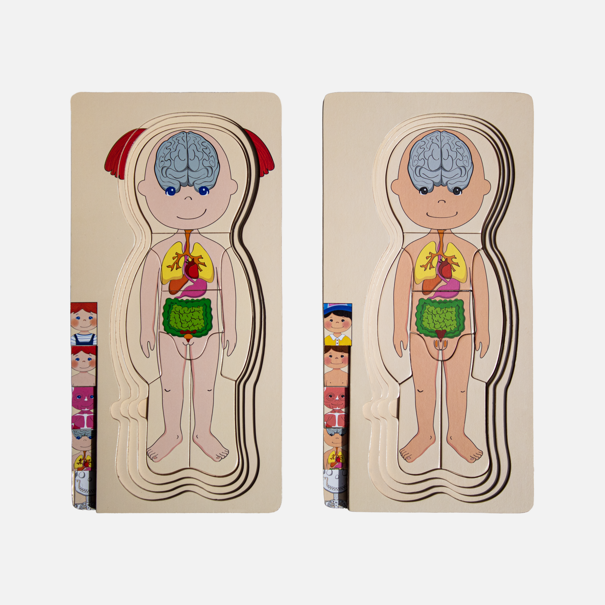 Promo de Rompecabezas del cuerpo humano 5 en 1 del niño y la niña