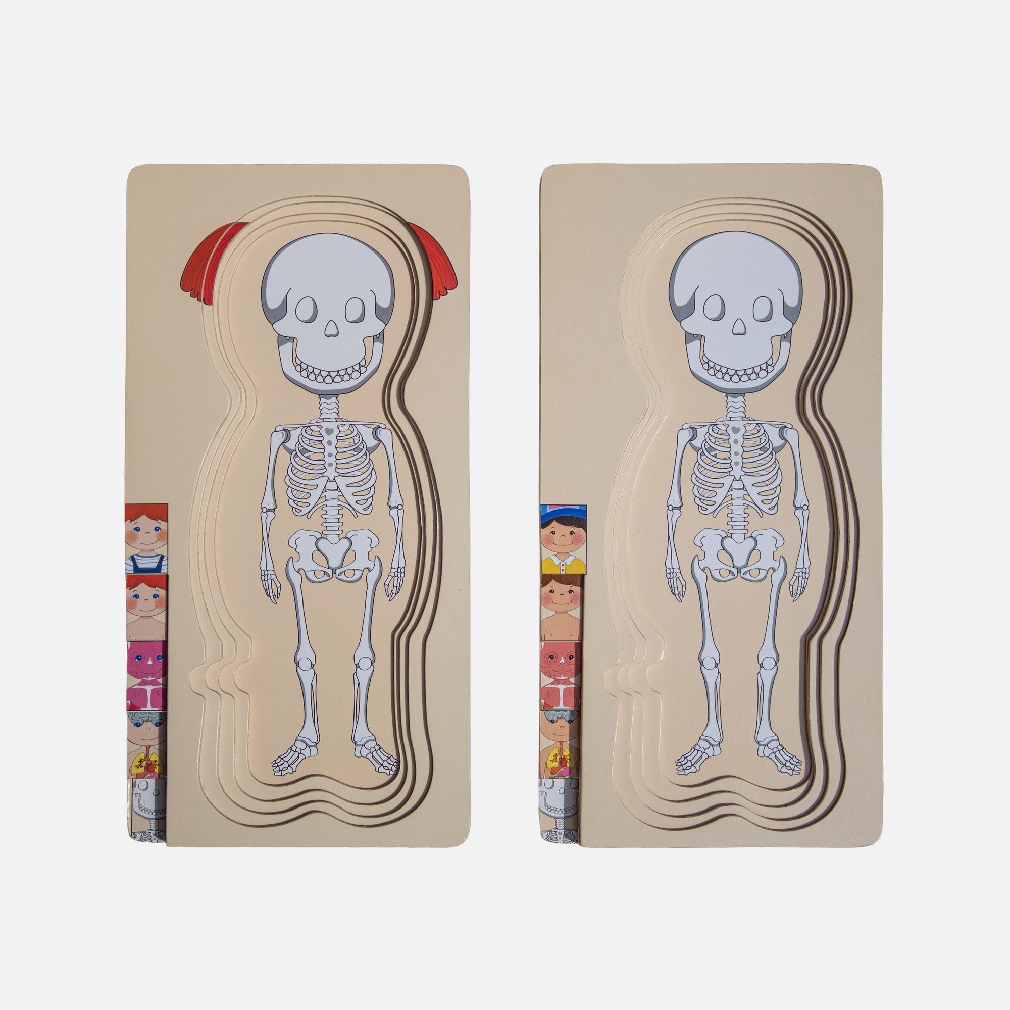 Promo de Rompecabezas del cuerpo humano 5 en 1 del niño y la niña