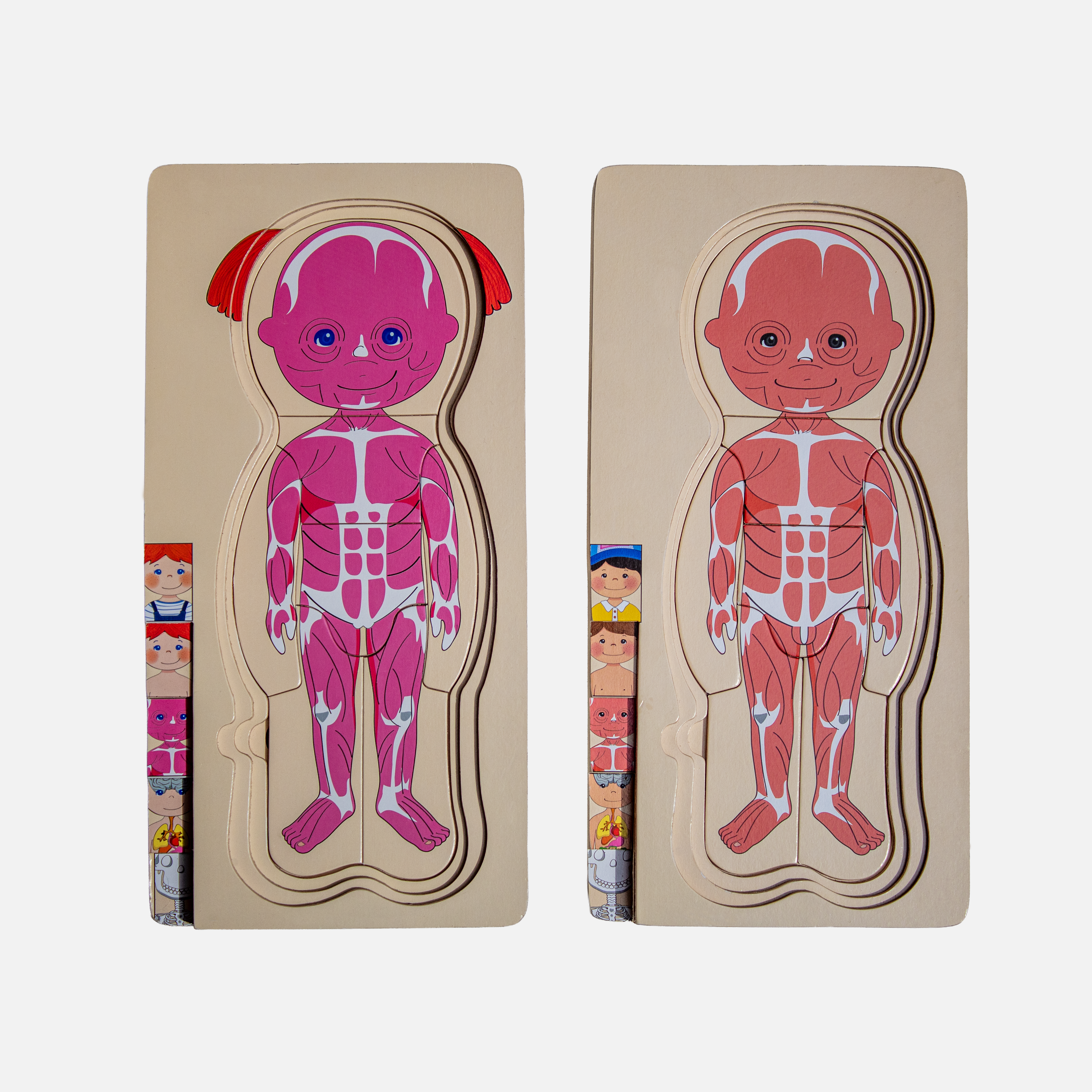 Rompecabezas del cuerpo humano del niño y la niña